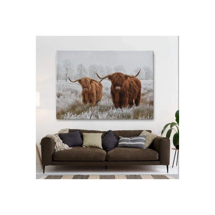 İskoçya Sığırları Dekoratif Kanvas Tablo 1150