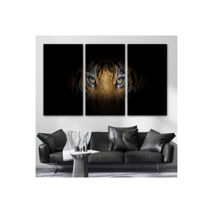 Kaplan Gözleri  Dekoratif Kanvas Tablo 1161