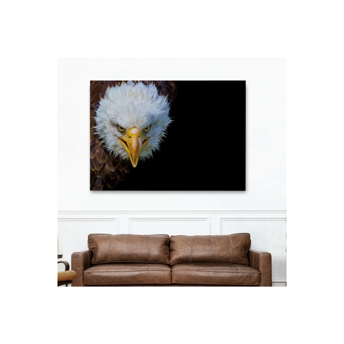 Kartal  Dekoratif Kanvas Tablo 1132