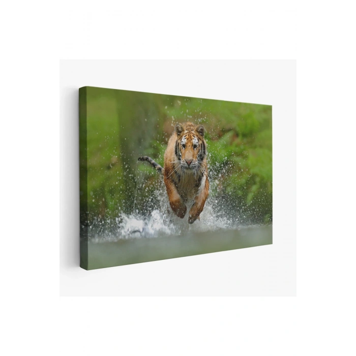 Koşan Kaplan Dekoratif Kanvas Tablo 1142