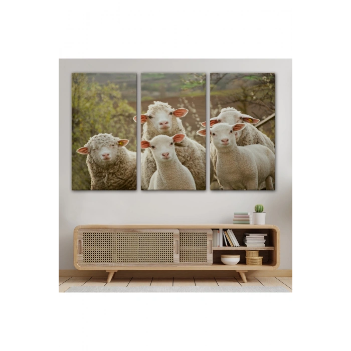 Koyun Kuzu Dekoratif Kanvas Tablo 1119