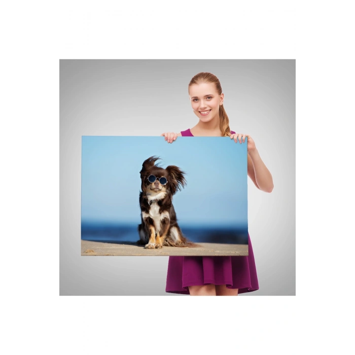 Küçük Köpek Dekoratif Kanvas Tablo 1157