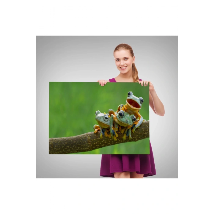 Küçük Kurbağalar Dekoratif Kanvas Tablo 1179