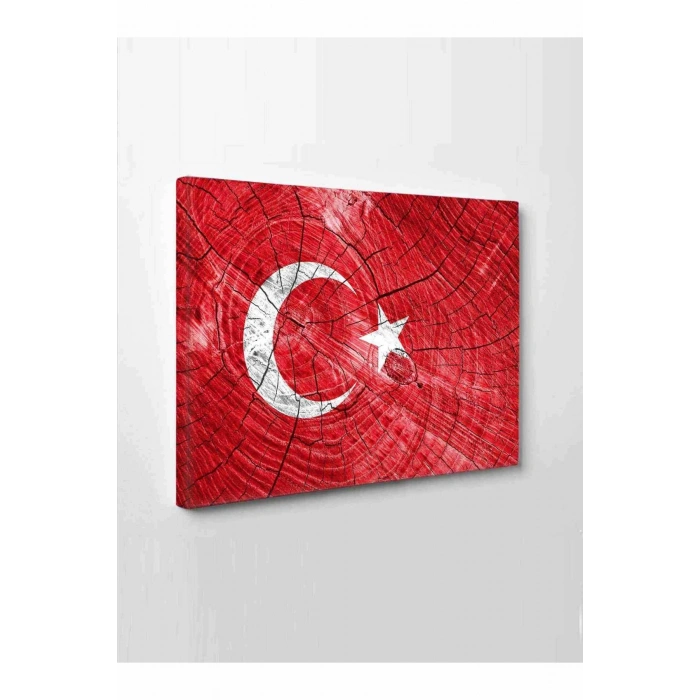 Led Işıklı Türk Bayrağı (bir hilal uğruna ya rab)