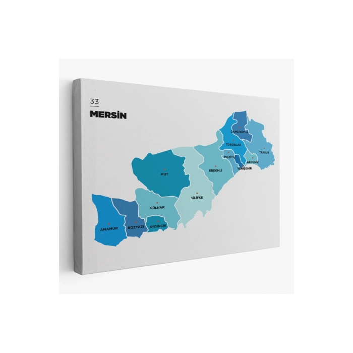 Mersin İli ve İlçeler Haritası  Dekoratif Kanvas Tablo 1420
