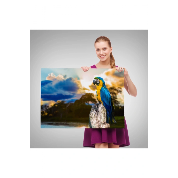 Papağan Dekoratif Kanvas Tablo 1123