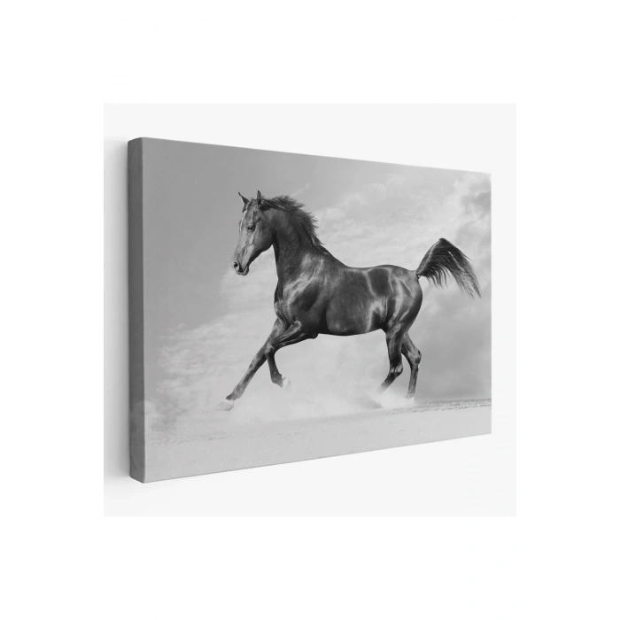 Siyah At Tablosu-6623