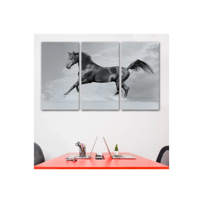 Siyah At Tablosu-6623