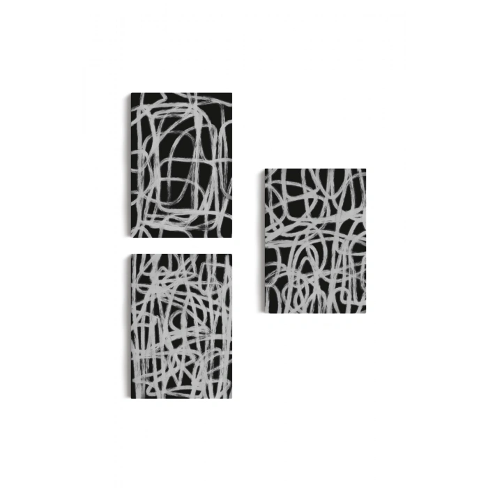 Siyah Zemin Üzerine Beyaz Şekiller Dekoratif Duvar Tablosu Üçlü Set-EÜ-121