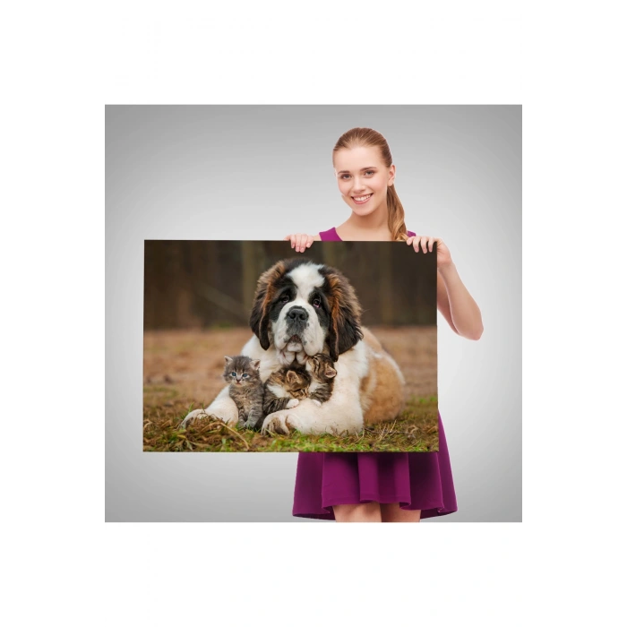 St. Bernard  Köpek ve Yavru Kediler Dekoratif Kanvas Tablo 1124