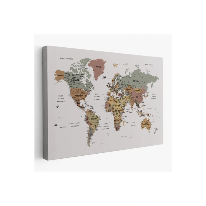 Türkçe Detaylı Dünya Haritası Dekoratif Renkli Zeminli Kanvas Tablo 1701
