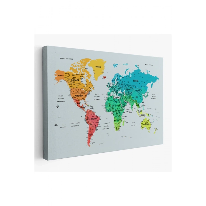 Türkçe Detaylı Dünya Haritası Dekoratif Renkli Zeminli Kanvas Tablo 1709