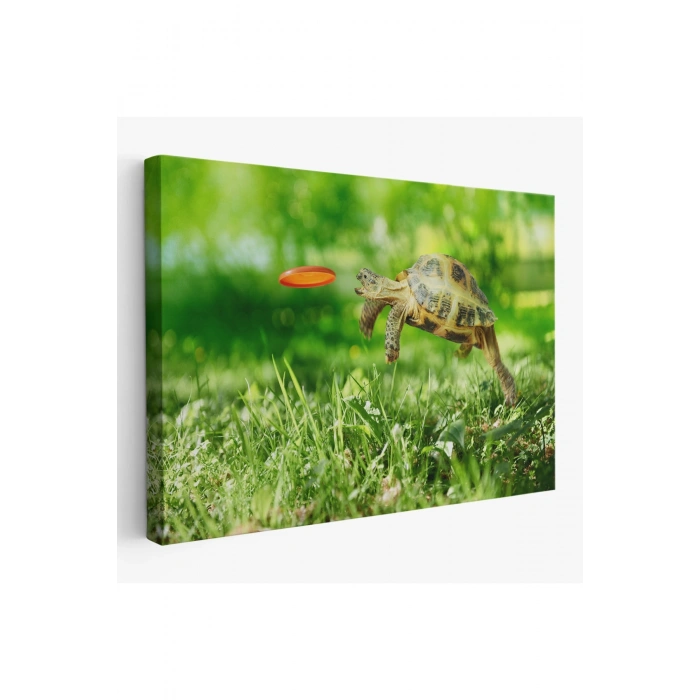 Uçan Kaplunbağa Dekoratif Kanvas Tablo 1122