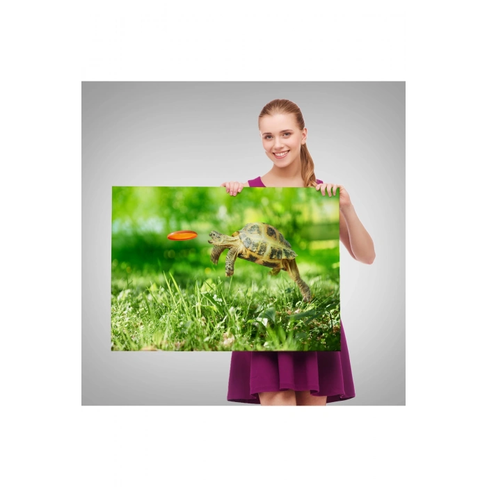 Uçan Kaplunbağa Dekoratif Kanvas Tablo 1122