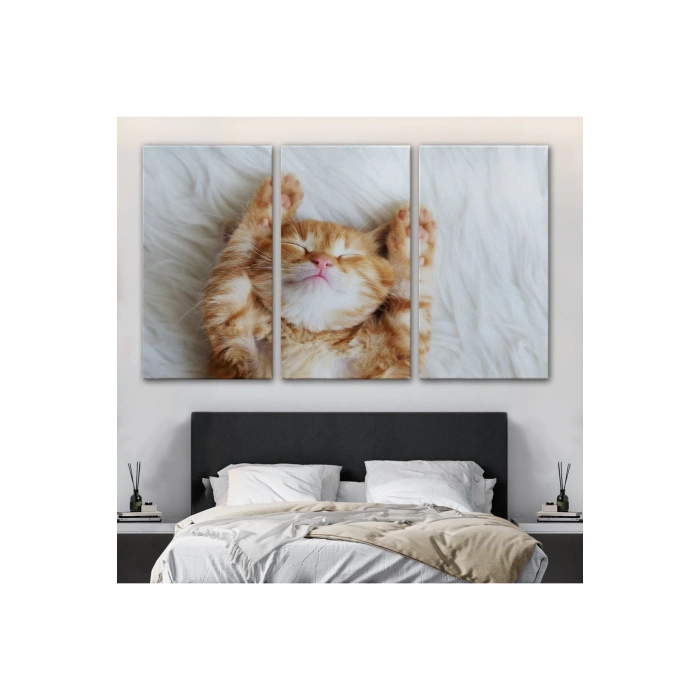 Yavru Kedi Dekoratif Kanvas Tablo 1125