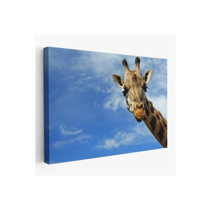 Zürafa Dekoratif Kanvas Tablo 1116