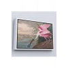 Ahşap Çerçeveli John James Audubon - Pembe Kaşıkçı Kuşu Tablo-7120