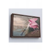 Ahşap Çerçeveli John James Audubon - Pembe Kaşıkçı Kuşu Tablo-7120