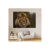 Aslan Dekoratif Kanvas Tablo 1159