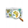 Eğitici Dünya Haritası Dünya Atlası Çocuk ve Bebek Odası Duvar Sticker -60x105-3807