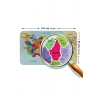 Eğitici ve Öğretici Detaylı Komşulu Türkiye Haritası Duvar Sticker-60x105-3845
