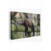 Kırmızı Panda Dekoratif Kanvas Tablo 1140