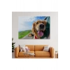 Köpek Dekoratif Kanvas Tablo 1130