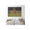 Koşan Geyik Dekoratif Kanvas Tablo 1170