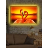 Led Işıklı Flamingo (Harika bir hediyelik tablo)