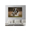 St. Bernard  Köpek ve Yavru Kediler Dekoratif Kanvas Tablo 1124
