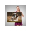 St. Bernard  Köpek ve Yavru Kediler Dekoratif Kanvas Tablo 1124