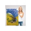 Vincent van Goghun Renkli Tasviri Duvar Tablosu-6224