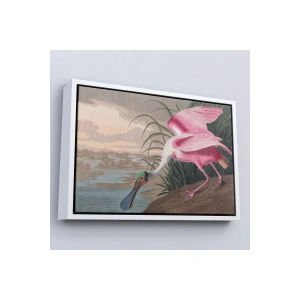 Ahşap Çerçeveli John James Audubon - Pembe Kaşıkçı Kuşu Tablo-7120