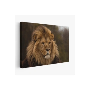 Aslan Dekoratif Kanvas Tablo 1159