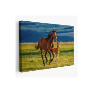 At ve Tay Manzaralı Dekoratif Kanvas Tablo 1173