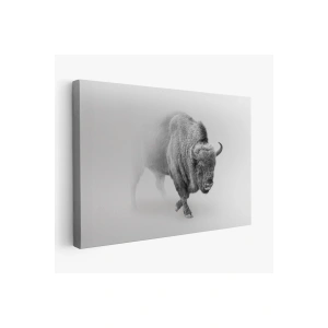 Bizon  Dekoratif Kanvas Tablo 1160