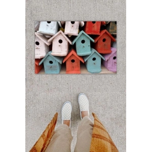 Dijital Baskı Dekoratif Kuş Evi Renkli Kapı Önü Paspası K-1218