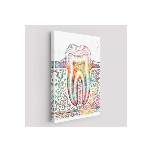 Diş Diyagramı Tablosu-6480