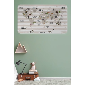 Eğitici Dünya Haritası Dünya Atlası Çocuk ve Bebek Odası Duvar Sticker -60x105-3803