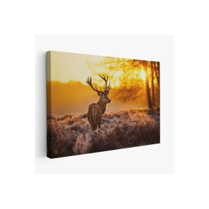 Geyik  Gün Batımı Dekoratif Kanvas Tablo 1120