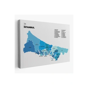 İstanbul  İli ve İlçeler Haritası  Dekoratif Kanvas Tablo 1366