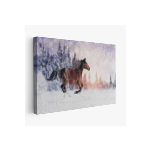 Karda Koşan At Dekoratif Kanvas Tablo 1133