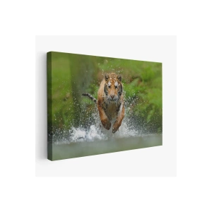 Koşan Kaplan Dekoratif Kanvas Tablo 1142
