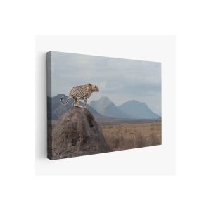 Leopar Dekoratif Kanvas Tablo -1127