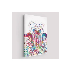 Renkli Diş, Diş Hekimi Duvar Tablosu-6300