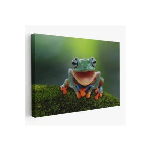 Renkli Gülen Kurbağa Dekoratif Kanvas Tablo 1149