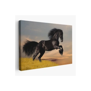 Şaha Kalkmış Siyah At Tablosu-6613