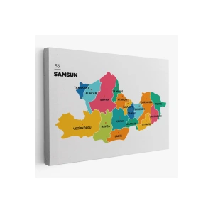 Samsun İli ve İlçeler Haritası  Dekoratif Kanvas Tablo 1445