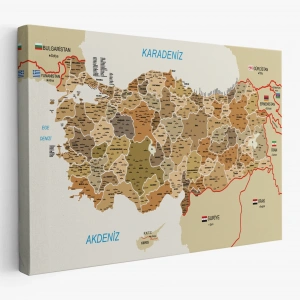 Türkiye Haritası Kanvas Tablo İl ve İlçeli Ayrıntılı Eğitici Komşulu Dekoratif Tablo 3020