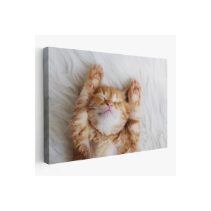 Yavru Kedi Dekoratif Kanvas Tablo 1125